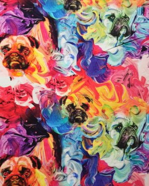 Pugs and Frenchie Dogs Cotton Lycra French Terry £16.50 pm