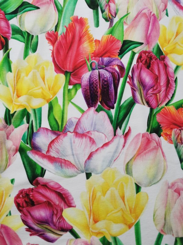Tulip floral Cotton Lycra French Terry £16.50 pm 4