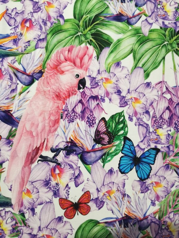 Tropical Bird Cotton Lycra French Terry £16.50 pm 4