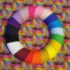 Rainbow Feather Cotton Lycra French Terry £16.50 pm - Image 2