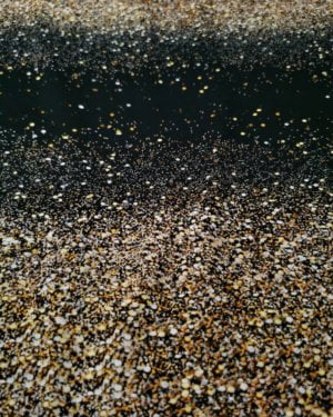 Gold Glitter Cotton Lycra Jersey £16.50 pm