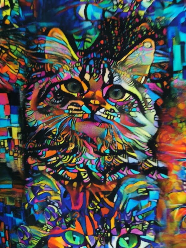 Mosaic Rainbow Cats Cotton Jersey £16.50pm (With Wholesale Pricing) 6