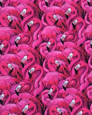 Pink Flamingo Jersey Fabric £16.50pm