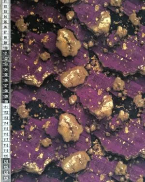 Purple Gold Music Jersey Fabric £16.50pm